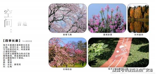 025楼盘评测_售楼处电话丨房价丨详情丨地址丨楼盘百科详情k8凯发国际国贸虹桥璟上(国贸虹桥璟上售楼处)首页网站-2(图28)