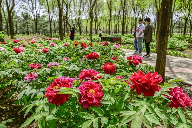 2：三大+书市+特色小镇打卡文旅新地标凯发K8国际娱乐120小时玩转副中心-(图2)