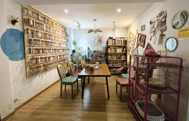 年人的青旅正在被00后遗忘凯发k8登录拒绝35岁中(图4) 年人的青旅正在被00后遗忘凯发k8登录拒绝35岁中(图4)